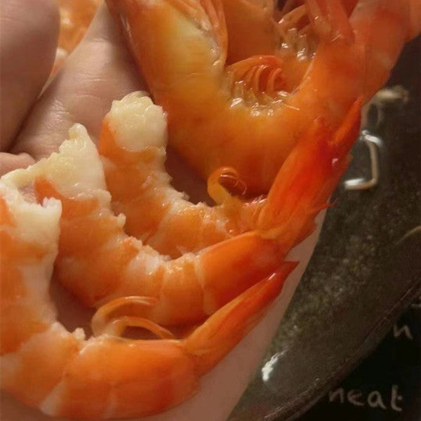 特价 即食黒虎蝦 美人蝦1000g 約60個 厄瓜多尔産