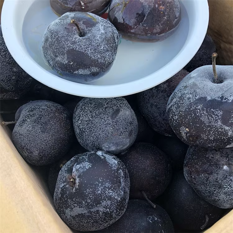 予售 凍梨 蘋果梨(苹果梨)1000g 东北特产 个头大 4-5个入