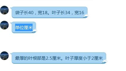 粽子叶 100枚入