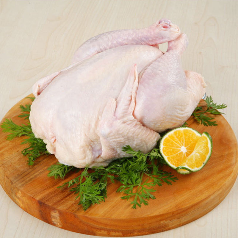 童子鶏整只(生的)800g 巴西産 冷凍品