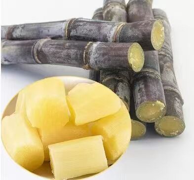 特价 甘蔗 約2kg 越南