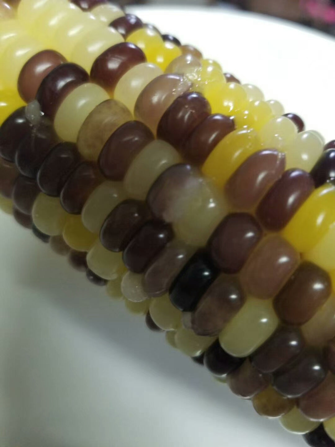 冷凍紫糯玉米棒(粘) 2本入 420g 生的 冷凍品