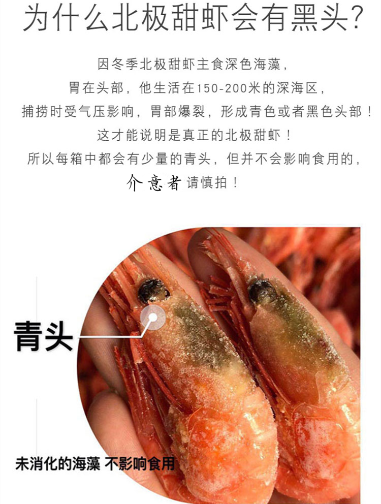 特价 北極氷蝦1kg 北极甜蝦 籽蝦 冷凍品 加拿大産
