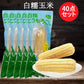 静安 白糯玉米1個入