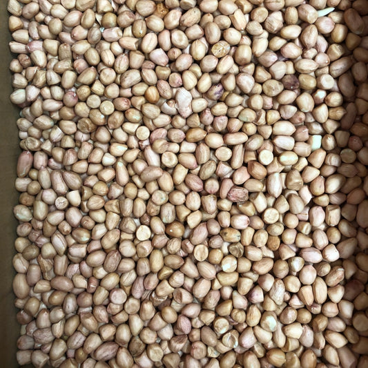 中粒花生米 25kg