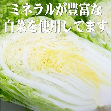 日日 白菜豚肉水餃子  約30個入  日日餃子 厚皮 日本国内加工 日本産 600g