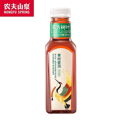 予約 東方樹葉 青桔普洱 500ml