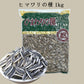 生向日葵 1kg 生ヒマワリの種